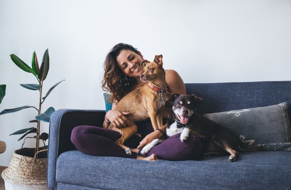 Woman holding 2 dogs ©GalacticDreamer