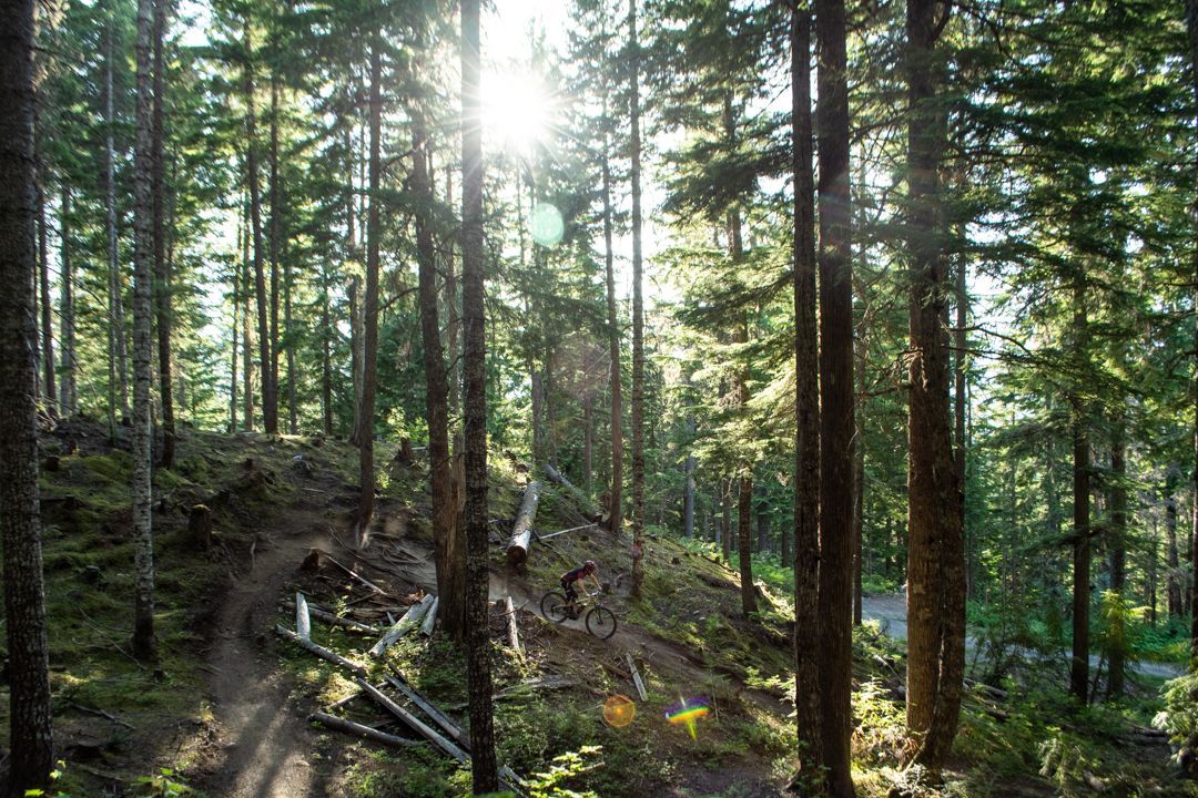 Canstudies - Estude e trabalhe em Whistler