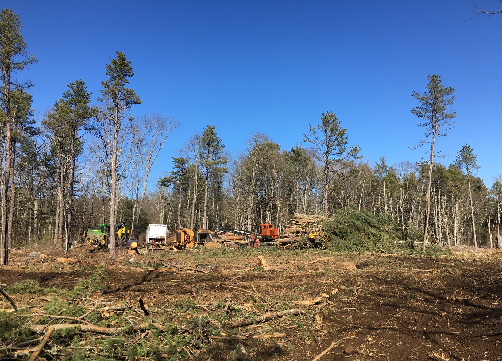 Pirner Logging Gallery Hubbardston, MA