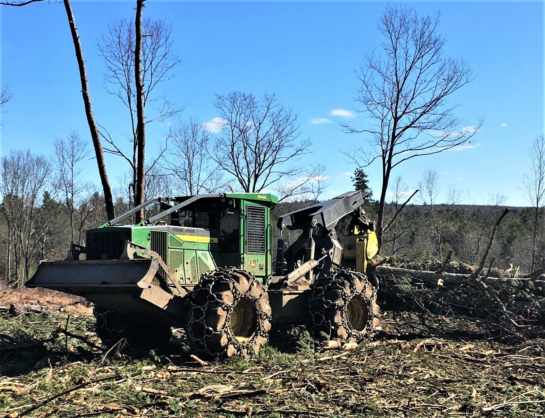 Pirner Logging | Services | Hubbardston, MA