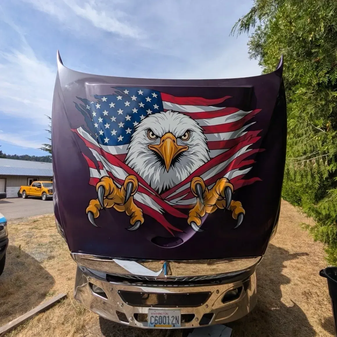 American flag eagle graphic draped over the front of a beige truck parked outdoors.