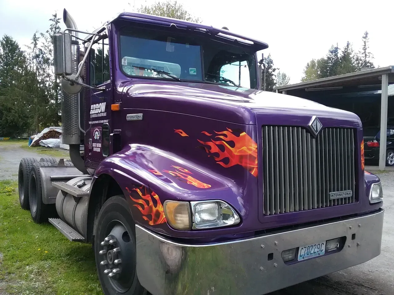 Purple semi truck with flame decals parked on grass near trees