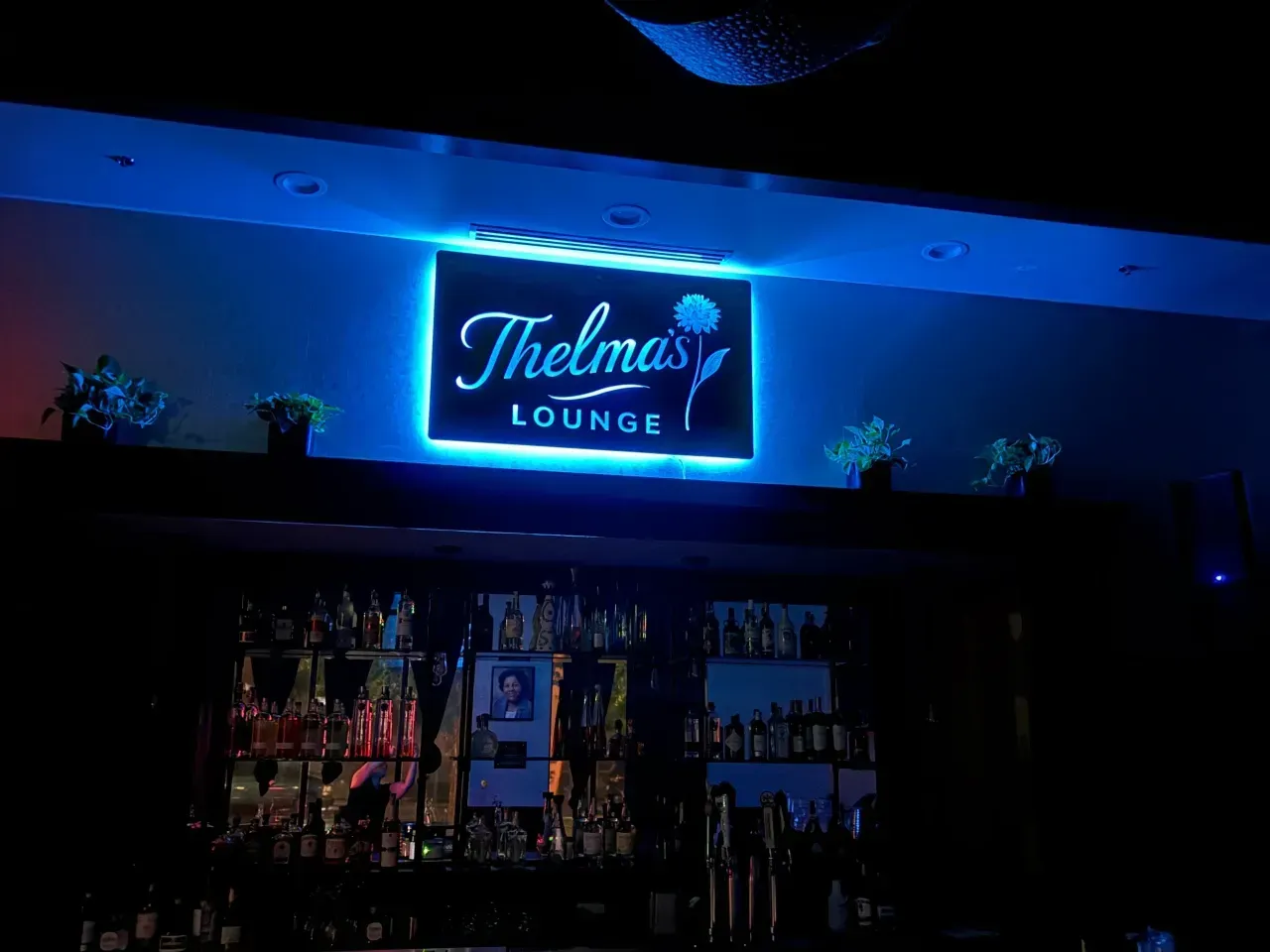 Neon-lit sign for Thelma’s Lounge above a bar stocked with bottles and glassware