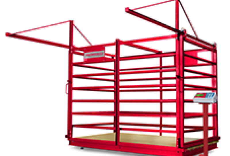 Báscula Electrónica Para Ganado 2000 kg