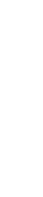 Mostly white image with a narrow vertical black stripe near the left side.