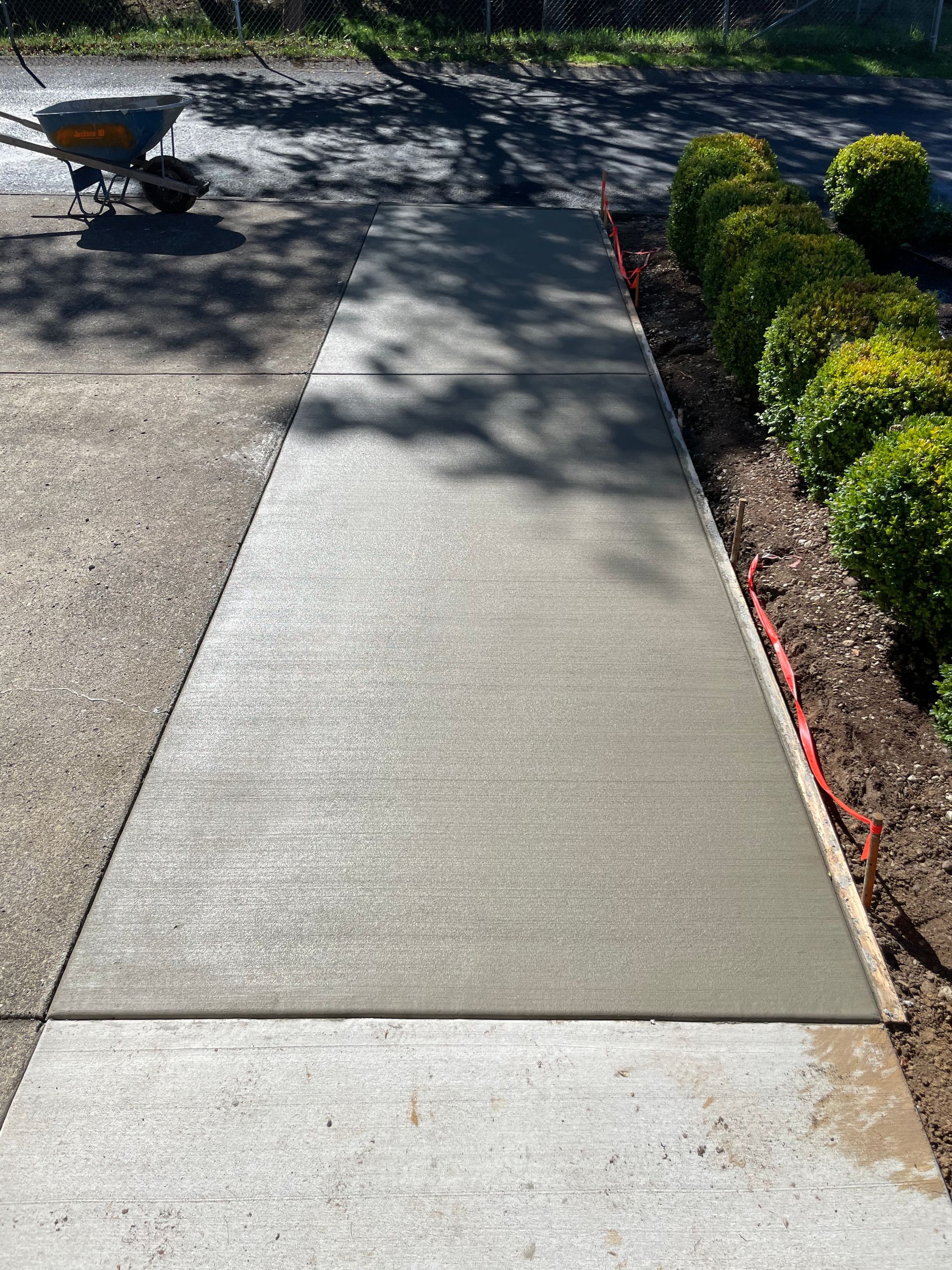 A freshly poured concrete sidewalk path bordered by a row of green bushes, with a wheelbarrow in the background.
