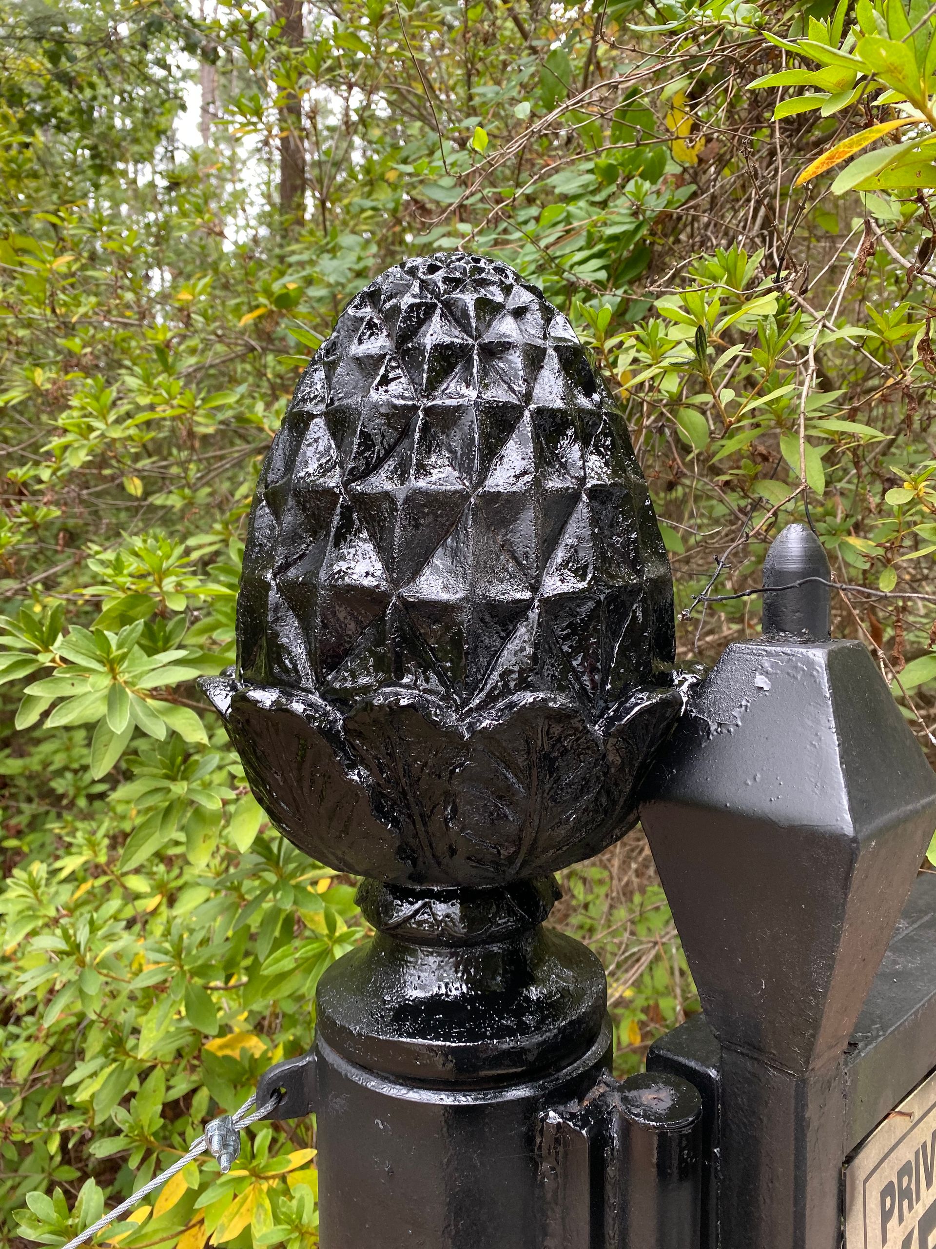 A black pole with a pine cone on top of it.