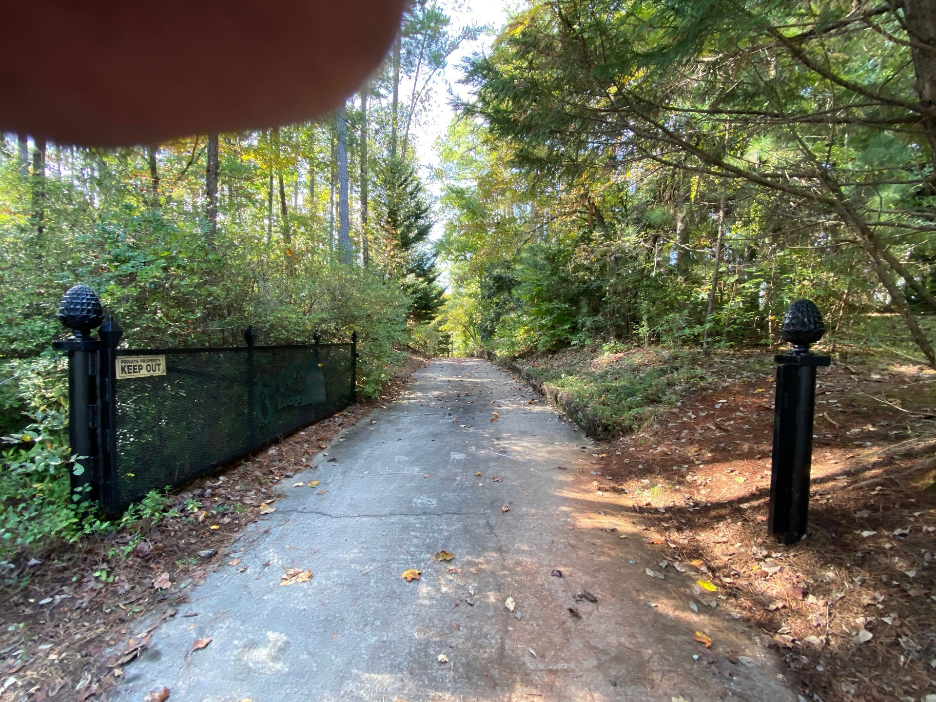 A road going through a forest with trees on both sides.