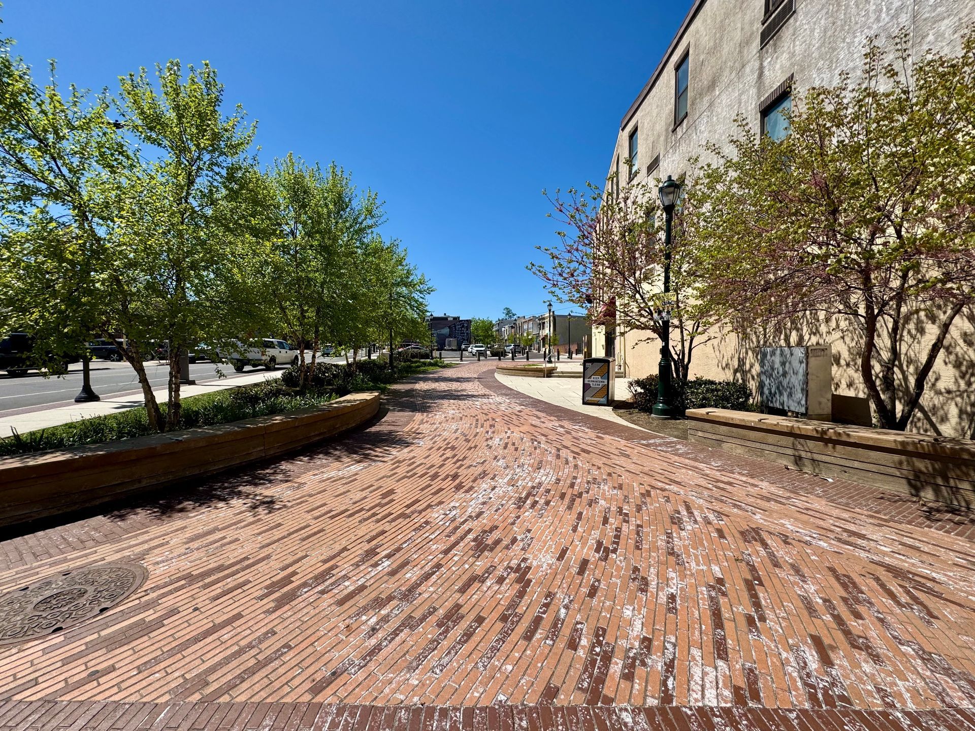 Brick-paved campus walkway lined with trees and beige buildings under a clear blue sky