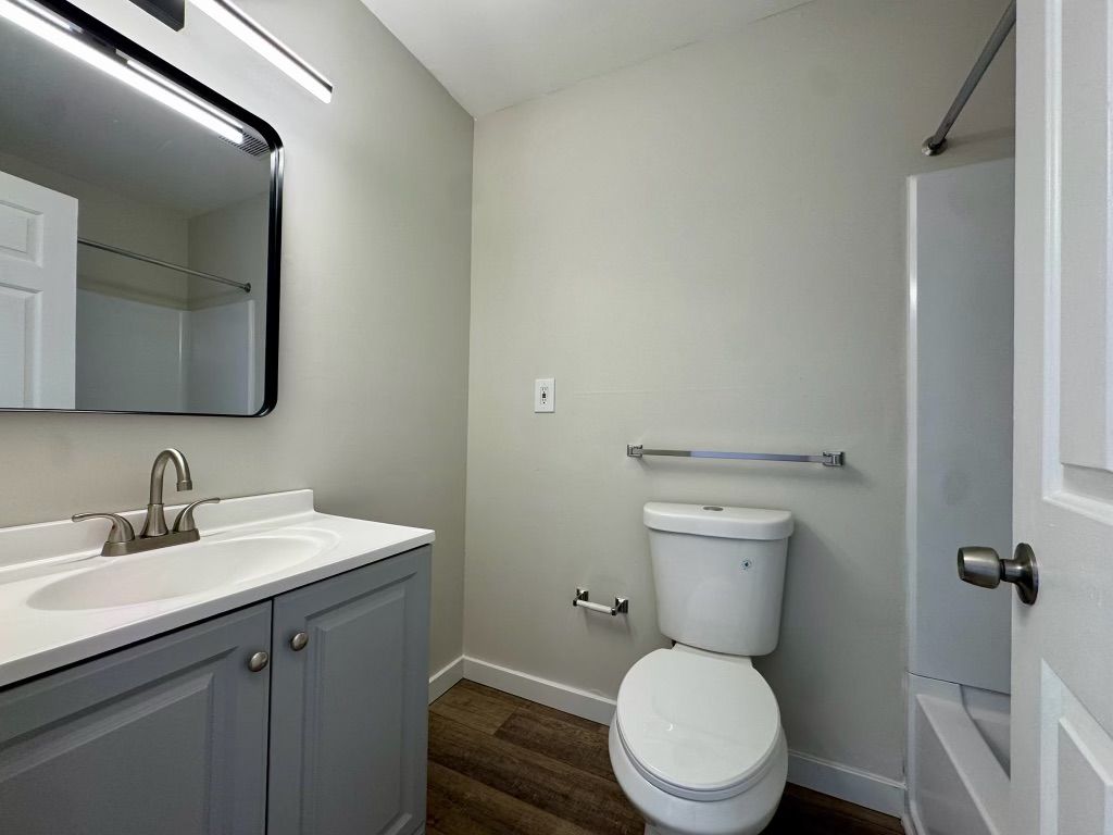 Small bathroom with gray vanity, wall mirror, toilet, and shower door.