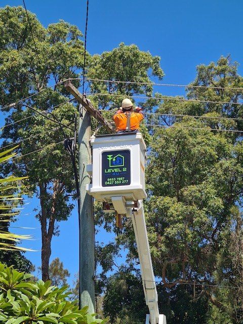 Lineman in a bucket truck, trimming a tree branch near power lines under a blue sky.