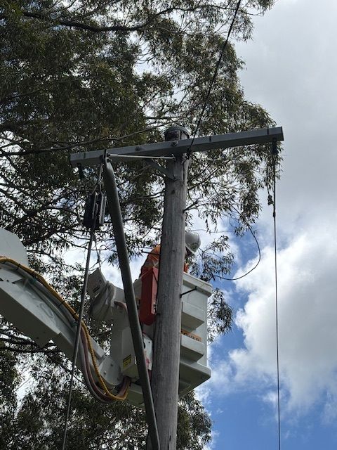 Lineman in a bucket truck working on a power pole; cloudy sky, tree branches above.