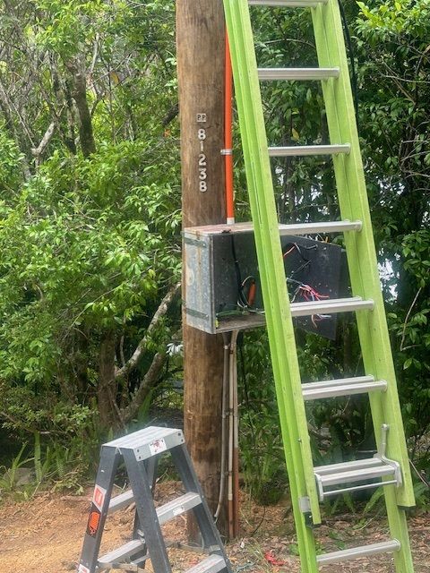 A utility pole with a metal box, orange conduit, and two ladders set up in a wooded area.
