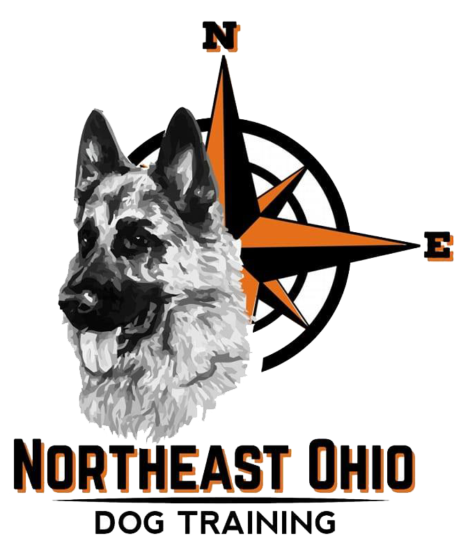 Dog Boarding Kent, Ohio Northeast Ohio Dog Training