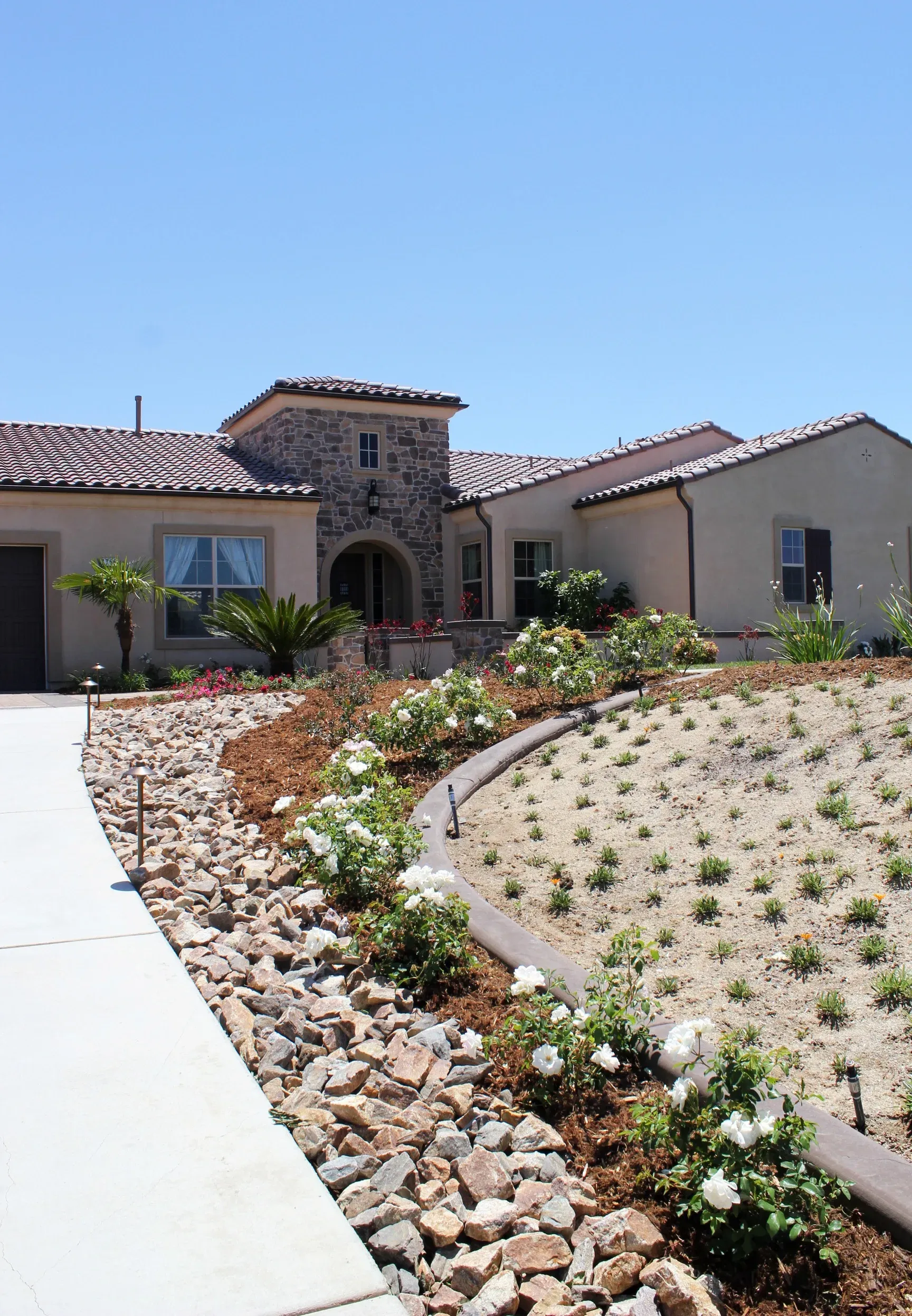 Superior Concrete Construction xeriscape hardscape design