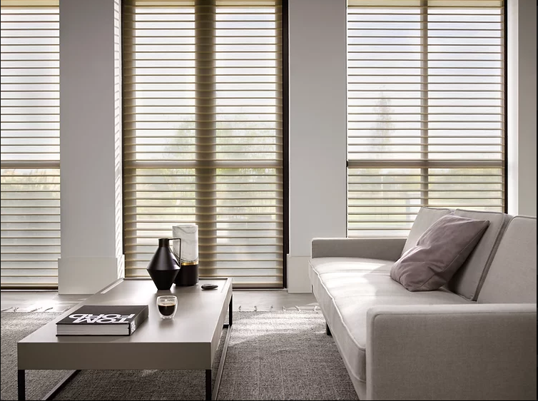 A living room with stylish blinds installed by Blind & Shutter City Pretoria.