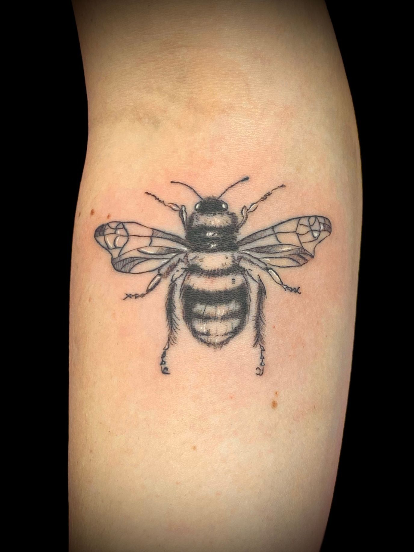A tattoo by Hannah in Fort Worth, TX at The Bearded Moon Tattoo Studio