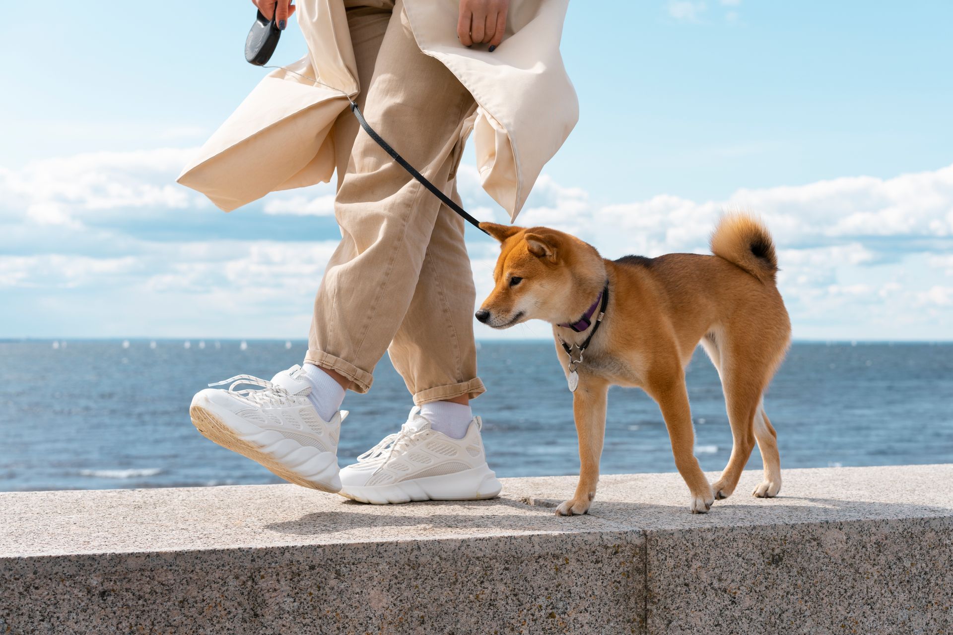 A person is walking a dog on a leash near the ocean.