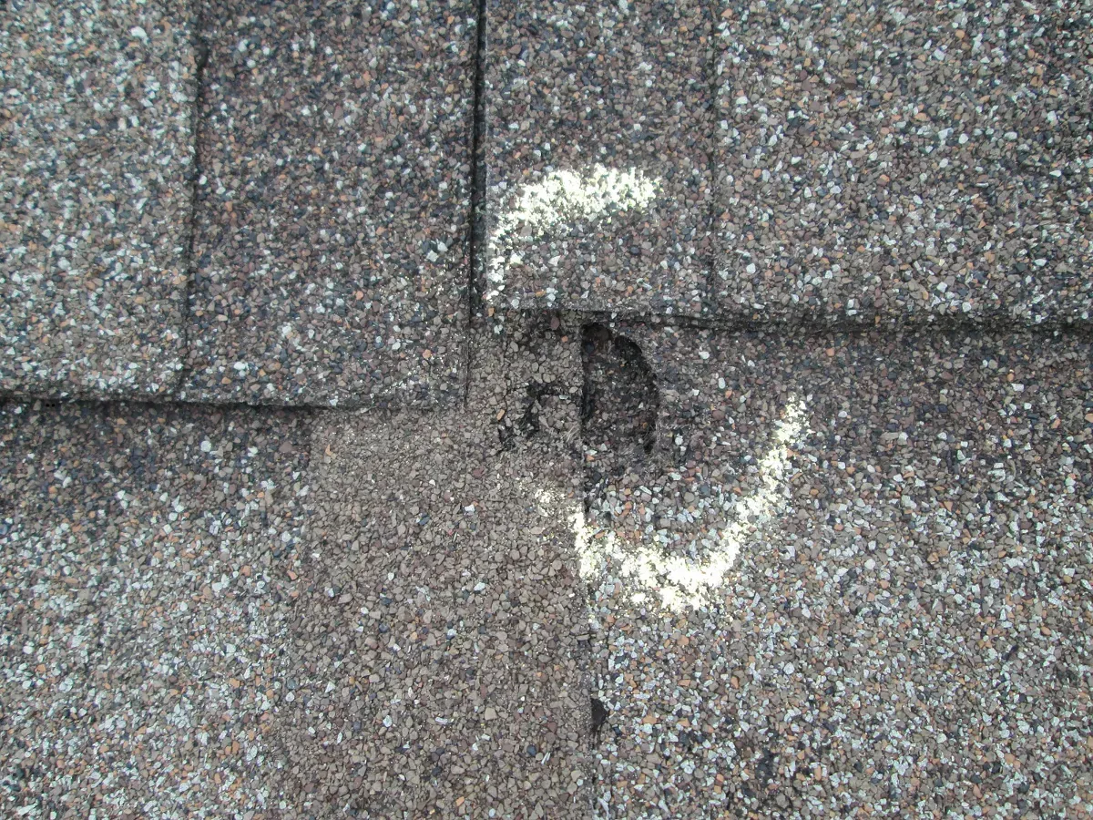 Close-up of asphalt shingles in Havre de Grace showing impact damage from hail or debris