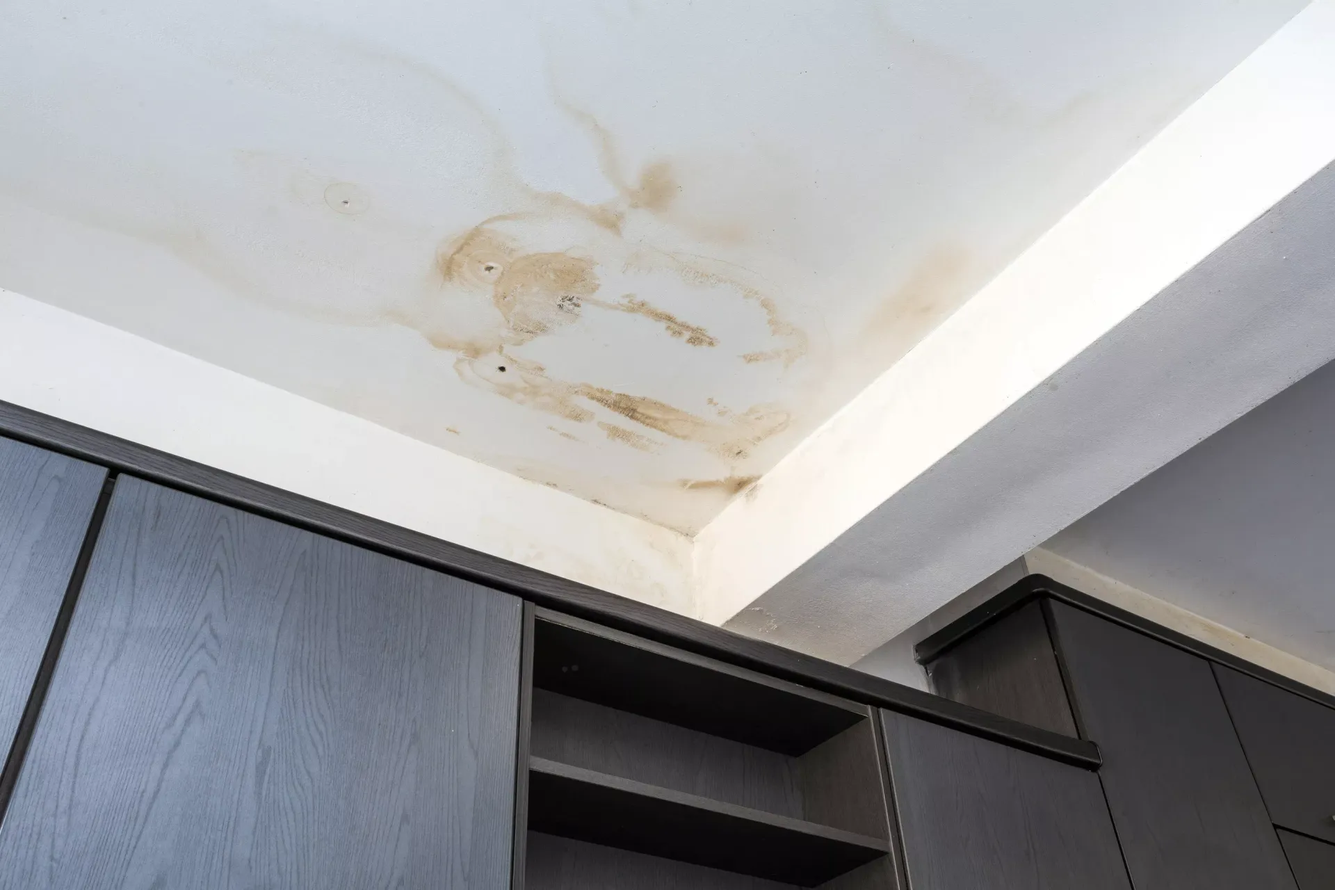 Water stain on an interior ceiling from an active roof leak in a Havre de Grace, MD home