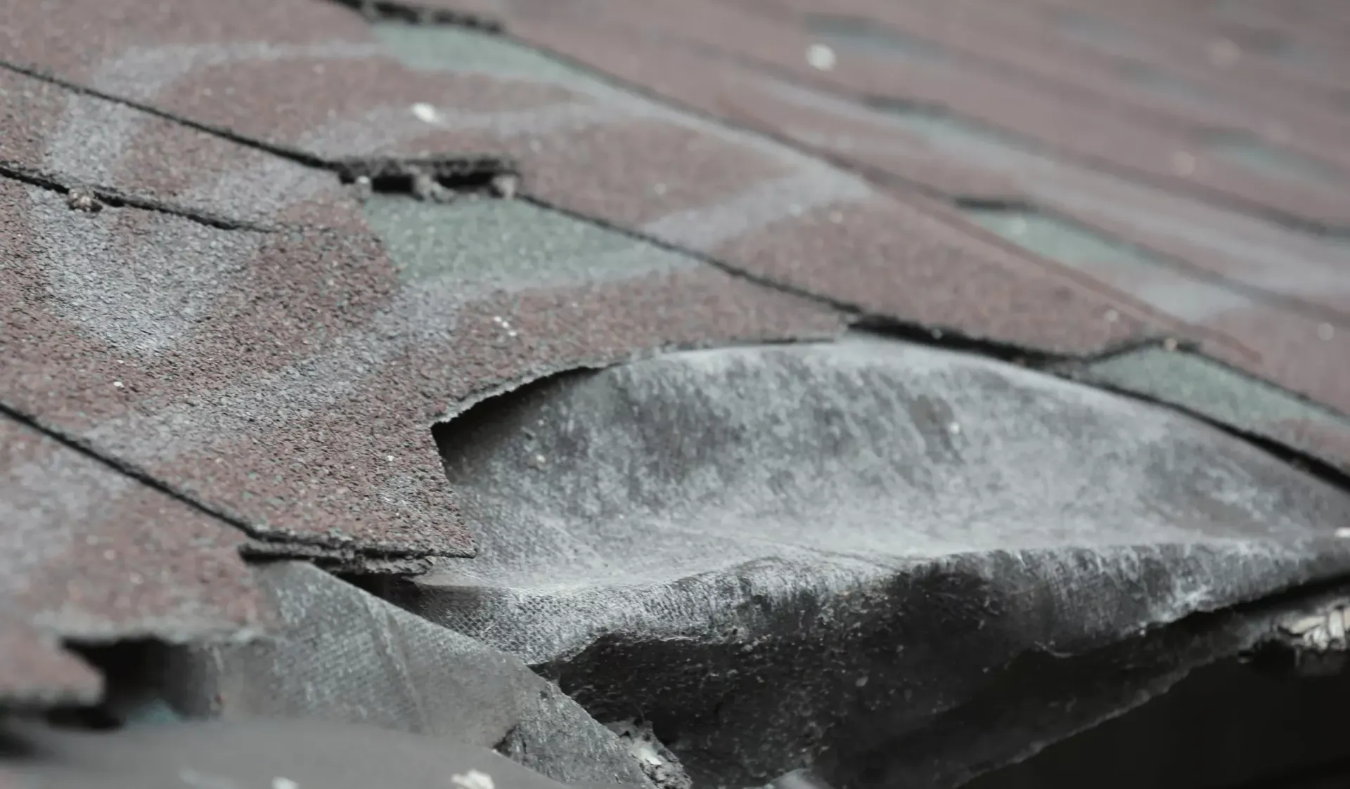 Curled asphalt shingles on a Havre de Grace roof showing water damage and age deterioration