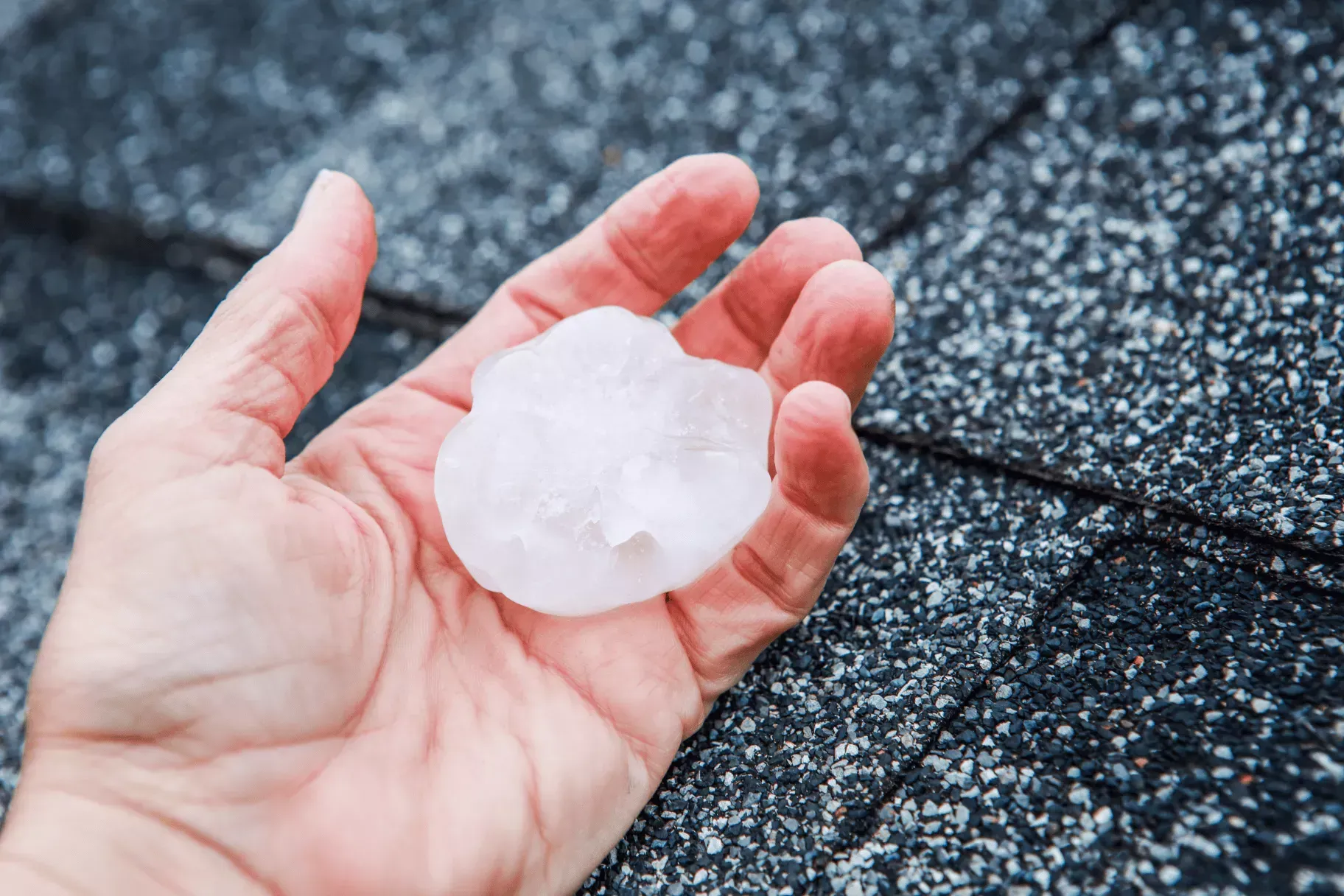 Large hailstone held over a damaged asphalt roof after a storm in Havre de Grace, MDv