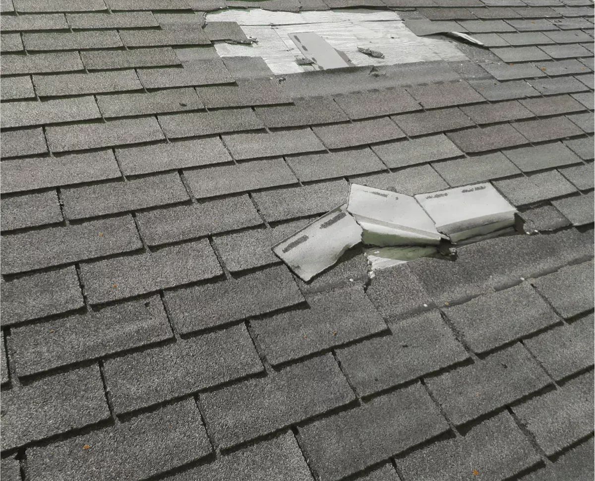 Missing and blown-off shingles on an Elkton, MD roof after storm damage