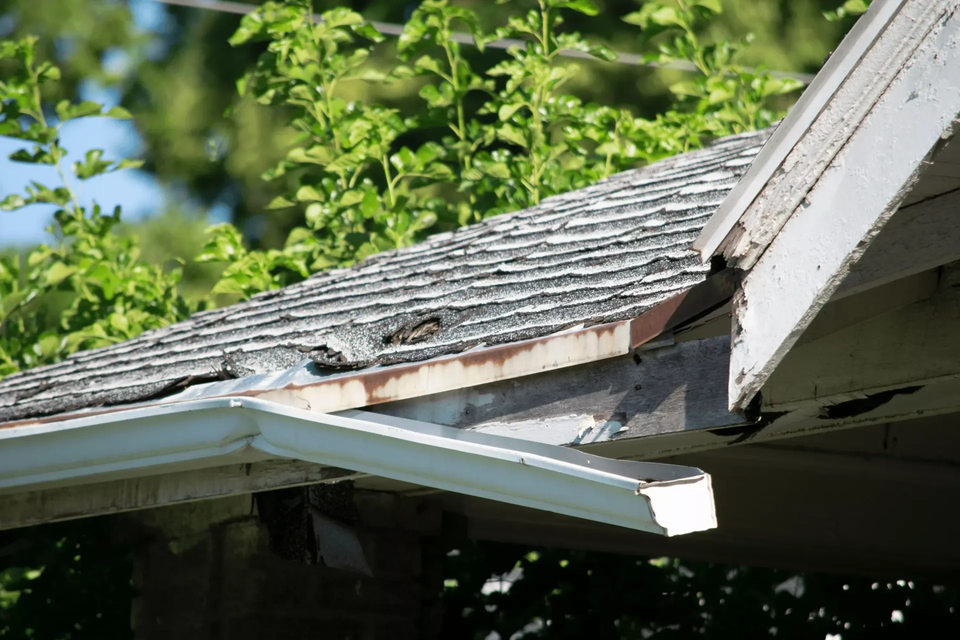 Wind-damaged roof edge with deteriorated fascia and gutter on an Elkton, MD home