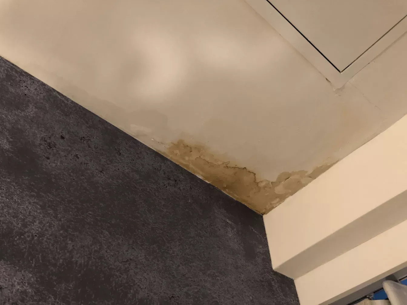 Water stain on interior ceiling from a roof leak in a Havre de Grace home