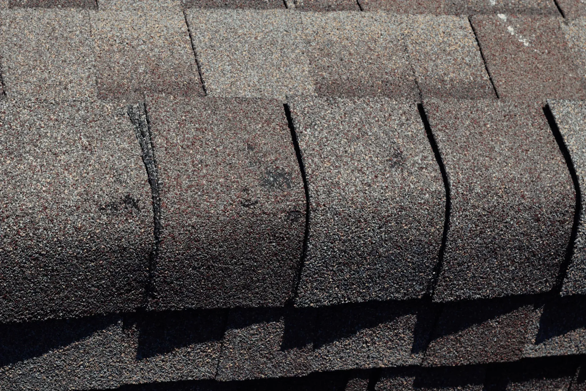Wind-damaged asphalt shingles on a Havre de Grace home showing granule loss and lifted tabs