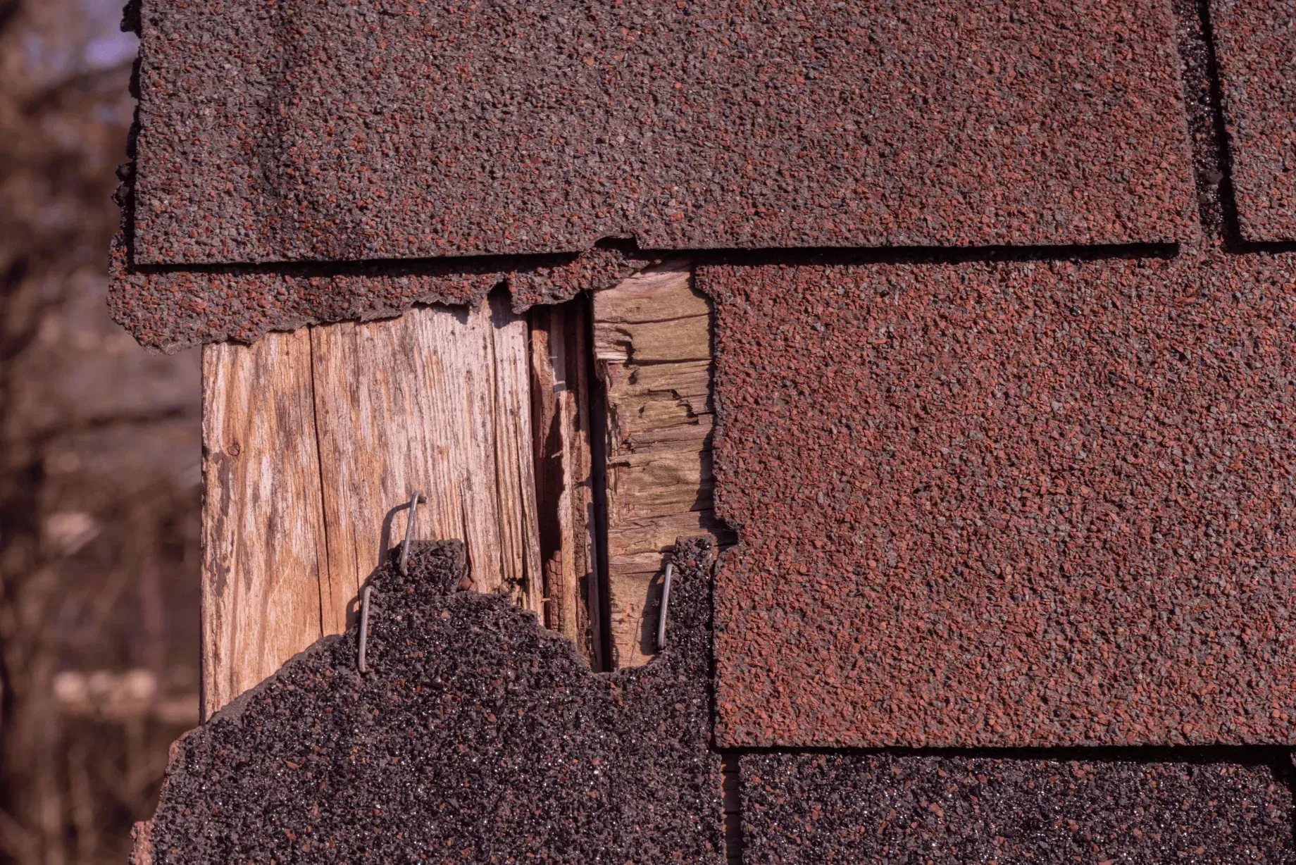 Wind-damaged roof in Maryland with shingles blown off exposing deteriorated wood decking underneath