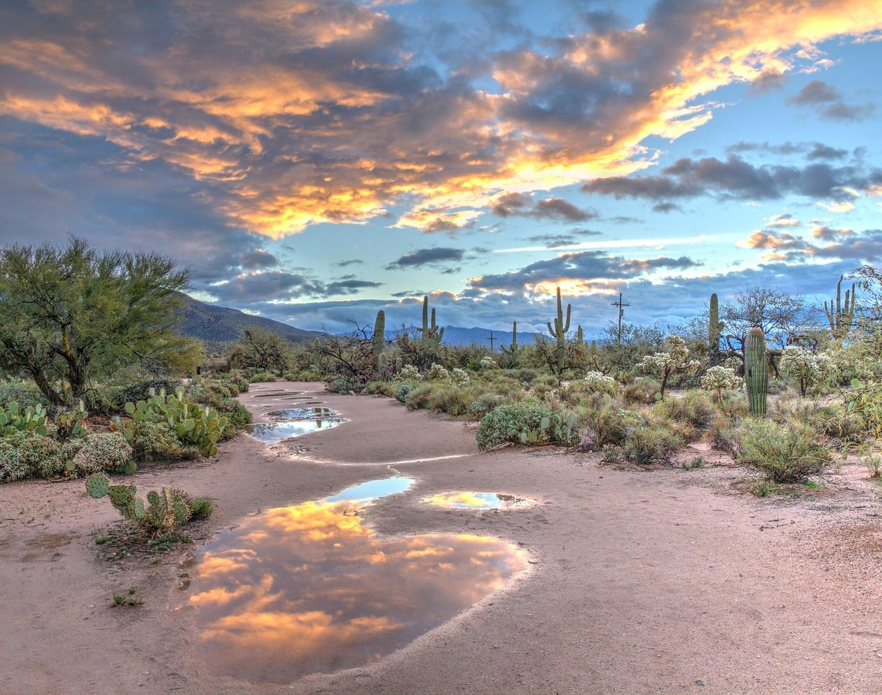 Arizona desert at dusk