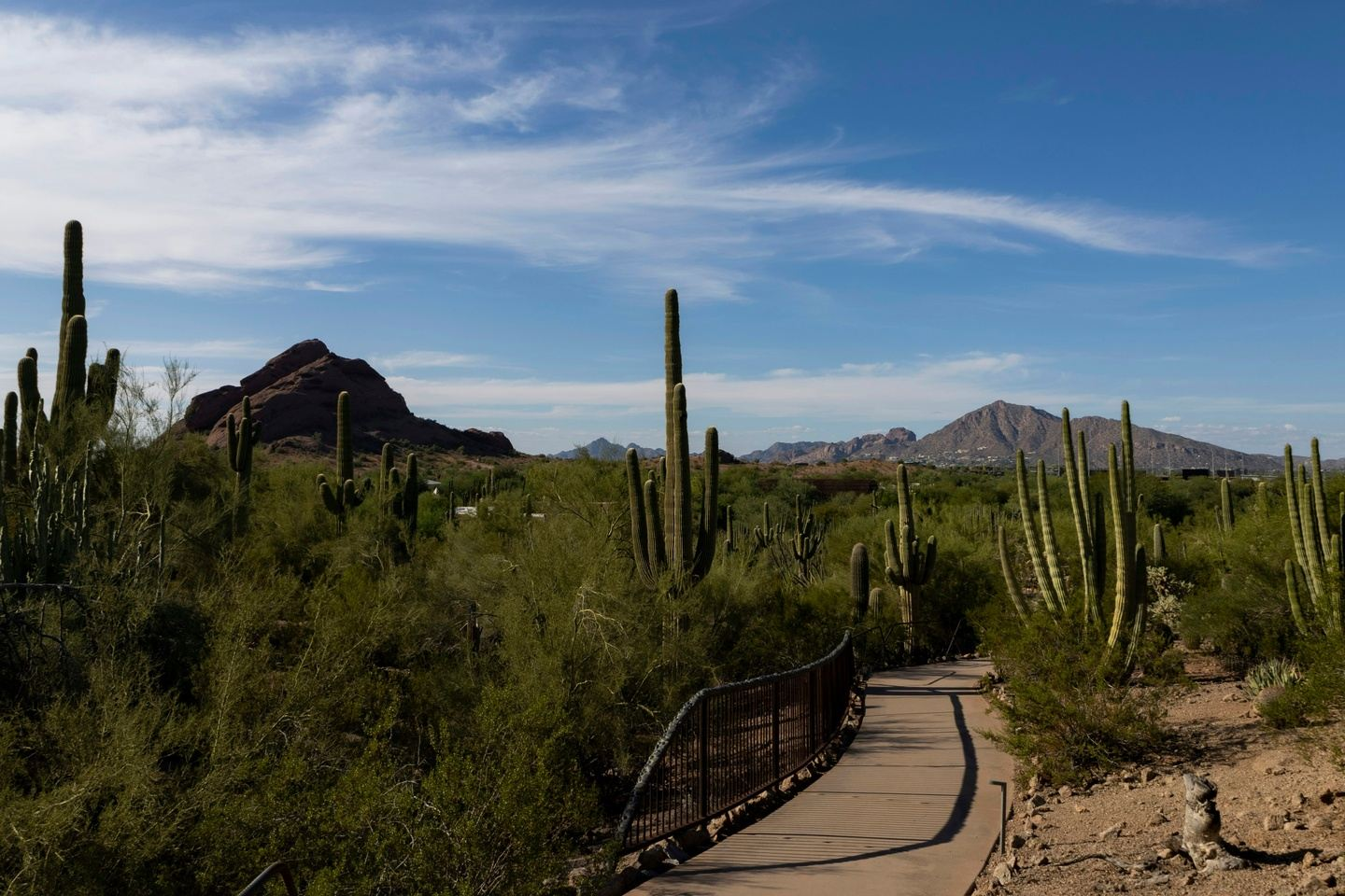 A paved pathway winds through a desert landscape with cacti and mountains under a blue sky.