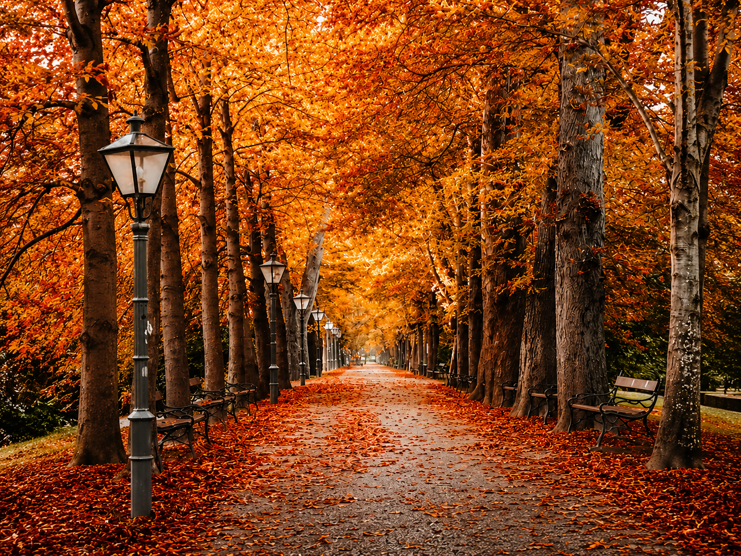 New England in Fall