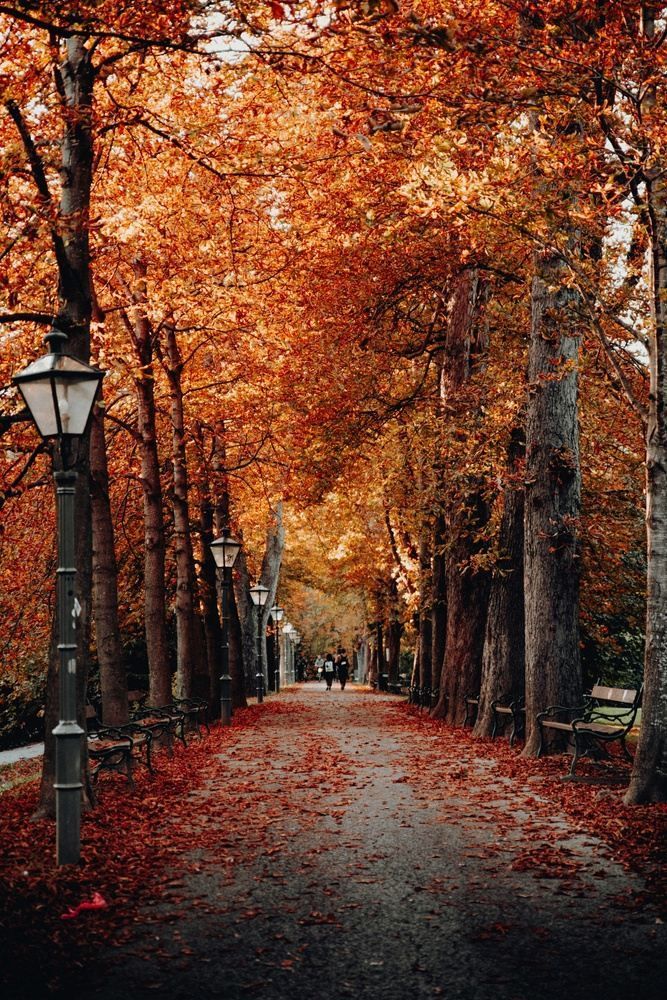 new-england-in-fall
