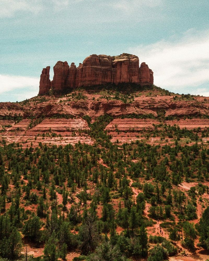 Red rock butte rising above evergreen trees under a blue sky. Sedona, Arizona.
