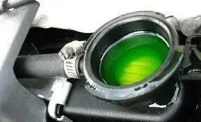 Green coolant in a car's reservoir, visible through an open cap. Hose and clamp visible.