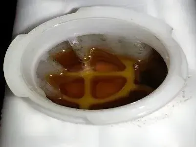 Close-up view of a white coolant reservoir with brown liquid visible.