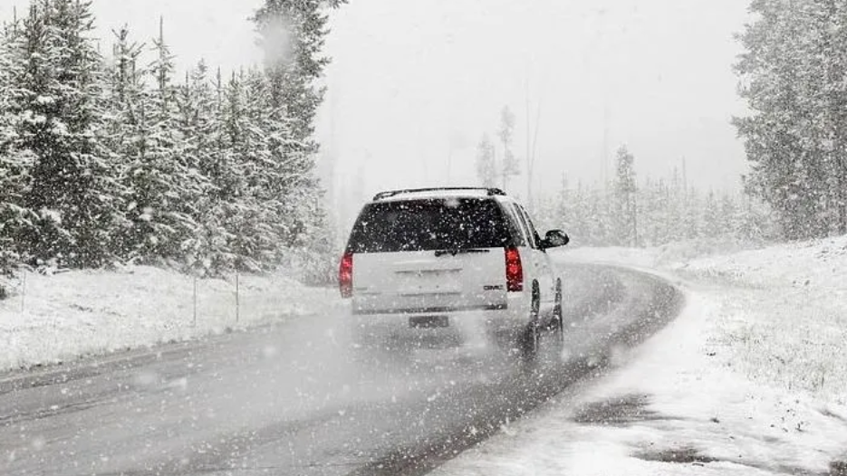 Snowy road with an SUV driving through heavy snowfall on a curving, tree-lined road