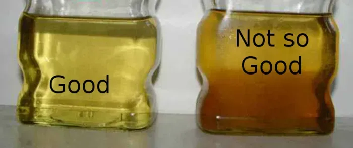 Two jars, one with clear yellow liquid labeled 