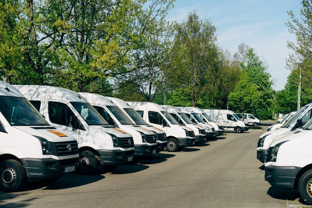 Row of white utility vans parked along a tree-lined lot under a clear sky