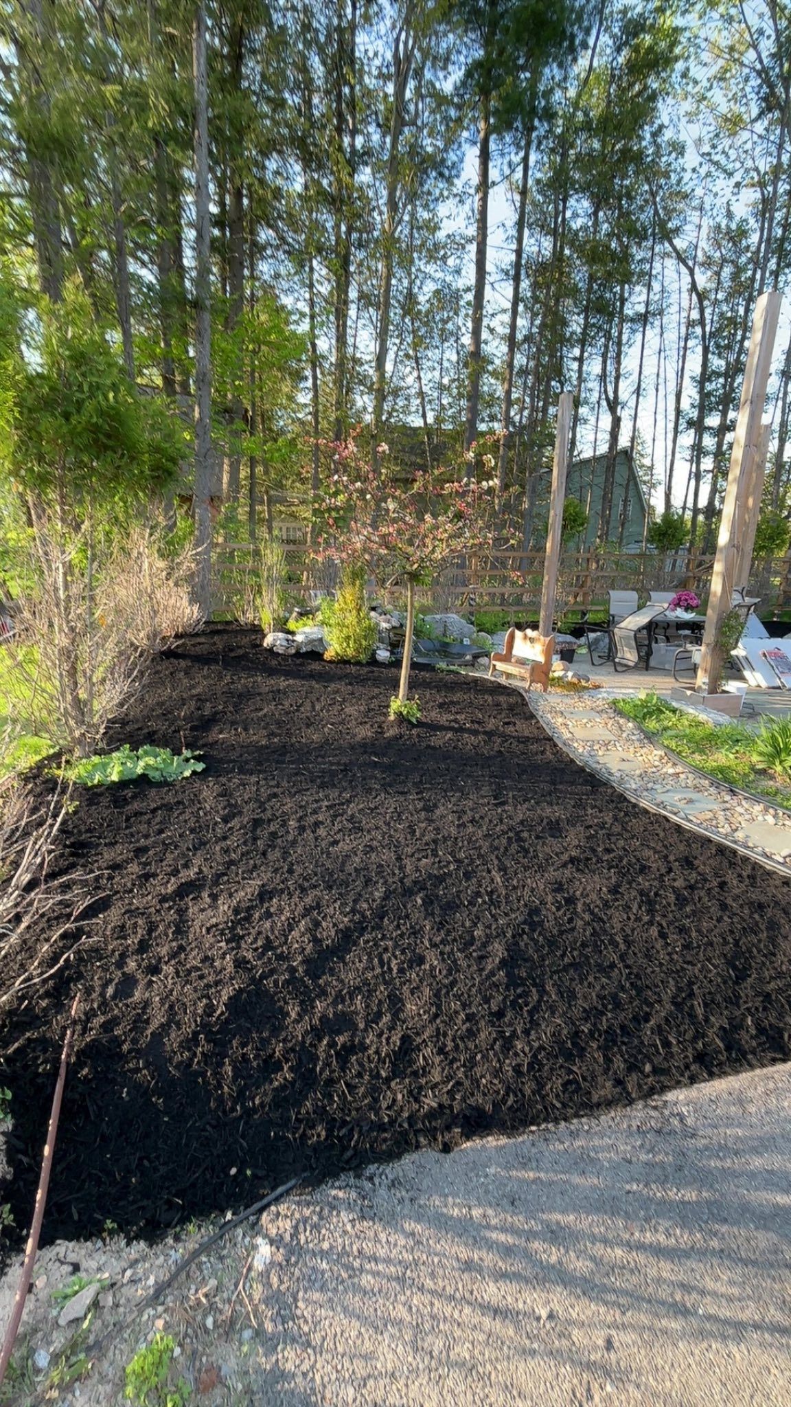 Newly mulched garden bed in a sunny outdoor setting with trees in the background.