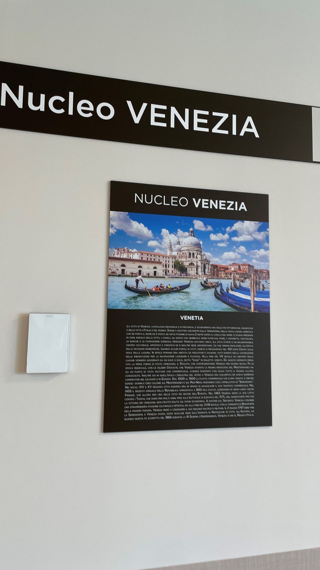 nucleo