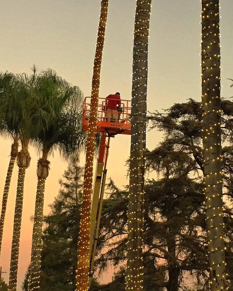 Orange lift among palm trees at sunset with string lights on trunks