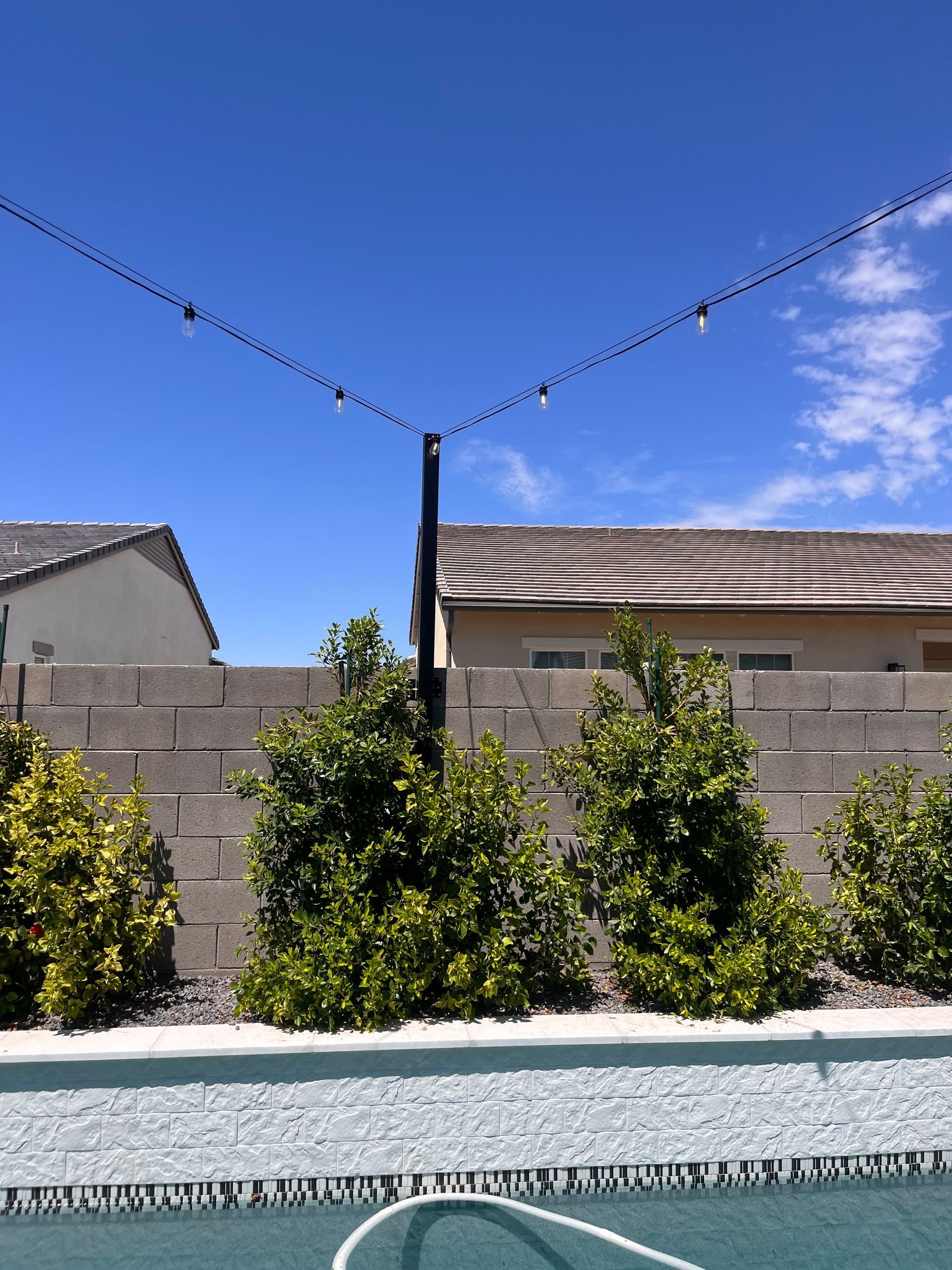 Backyard with string lights over a pool, cinderblock wall, shrubs, and clear blue sky