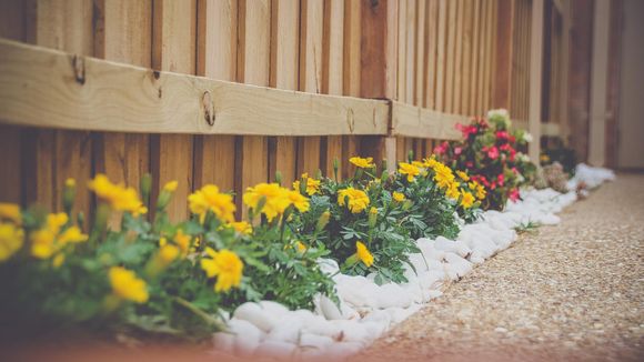 Flower Bed