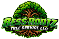 Tree Service in Florence, SC | Bess Rootz Tree Service LLC Tree Service in Florence, SC | Bess Rootz Tree Service LLC