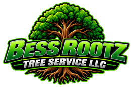 Tree Service in Florence, SC | Bess Rootz Tree Service LLC Tree Service in Florence, SC | Bess Rootz Tree Service LLC