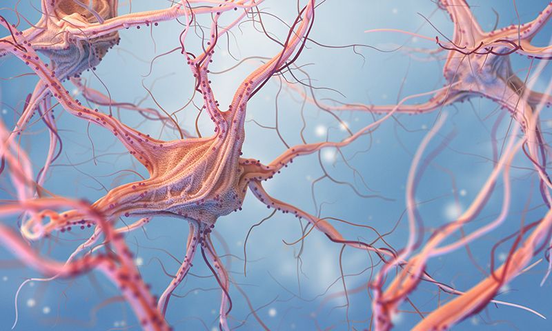 A computer generated image of a group of nerve cells on a blue background.