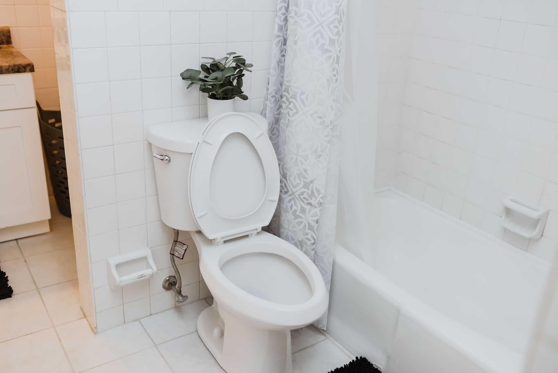 White toilet with the lid up, next to a bathtub with a shower curtain. A small plant sits on top of the toilet.